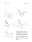 HCV NS3 PROTEASE INHIBITORS diagram and image