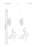 HCV NS3 PROTEASE INHIBITORS diagram and image
