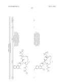 HCV NS3 PROTEASE INHIBITORS diagram and image