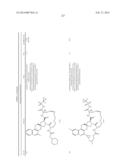 HCV NS3 PROTEASE INHIBITORS diagram and image