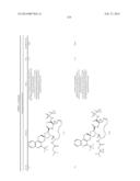 HCV NS3 PROTEASE INHIBITORS diagram and image