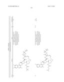 HCV NS3 PROTEASE INHIBITORS diagram and image