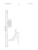 HCV NS3 PROTEASE INHIBITORS diagram and image
