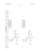 HCV NS3 PROTEASE INHIBITORS diagram and image