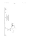 HCV NS3 PROTEASE INHIBITORS diagram and image