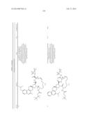 HCV NS3 PROTEASE INHIBITORS diagram and image
