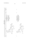 HCV NS3 PROTEASE INHIBITORS diagram and image
