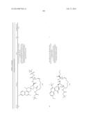 HCV NS3 PROTEASE INHIBITORS diagram and image
