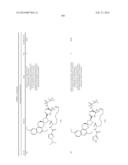 HCV NS3 PROTEASE INHIBITORS diagram and image