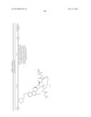 HCV NS3 PROTEASE INHIBITORS diagram and image