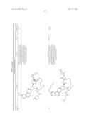 HCV NS3 PROTEASE INHIBITORS diagram and image