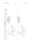 HCV NS3 PROTEASE INHIBITORS diagram and image