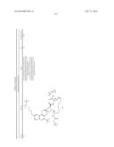 HCV NS3 PROTEASE INHIBITORS diagram and image