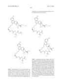 HCV NS3 PROTEASE INHIBITORS diagram and image