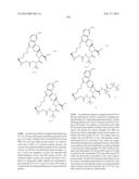 HCV NS3 PROTEASE INHIBITORS diagram and image