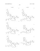 HCV NS3 PROTEASE INHIBITORS diagram and image