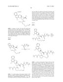 HCV NS3 PROTEASE INHIBITORS diagram and image