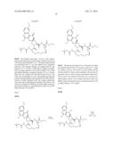 HCV NS3 PROTEASE INHIBITORS diagram and image