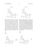 HCV NS3 PROTEASE INHIBITORS diagram and image