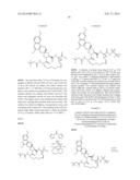 HCV NS3 PROTEASE INHIBITORS diagram and image