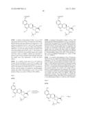 HCV NS3 PROTEASE INHIBITORS diagram and image