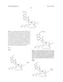 HCV NS3 PROTEASE INHIBITORS diagram and image