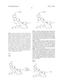 HCV NS3 PROTEASE INHIBITORS diagram and image