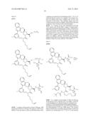 HCV NS3 PROTEASE INHIBITORS diagram and image