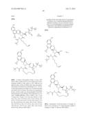 HCV NS3 PROTEASE INHIBITORS diagram and image