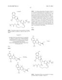 HCV NS3 PROTEASE INHIBITORS diagram and image