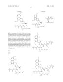 HCV NS3 PROTEASE INHIBITORS diagram and image