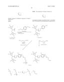 NOVEL OXIME DERIVATIVES AS SPHINGOSINE 1-PHOSPHATE (S1P) RECEPTOR     MODULATORS diagram and image