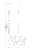 DERIVATIVES OF 1-PHENYL-2-PYRIDINYL ALKYL ALCOHOLS AS PHOSPHODIESTERASE     INHIBITORS diagram and image