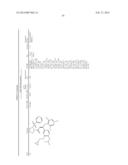 DERIVATIVES OF 1-PHENYL-2-PYRIDINYL ALKYL ALCOHOLS AS PHOSPHODIESTERASE     INHIBITORS diagram and image