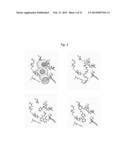 LPA2 Receptor-Specific Benzoic Acid Derivatives diagram and image