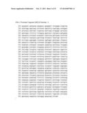 NOVEL REPRESSOR ON IFN-LAMBDA PROMOTER AND SIRNA AGAINST ZEB1 AND BLIMP-1     TO INCREASE IFN-LAMBDA GENE ACTIVITY diagram and image