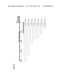 NOVEL REPRESSOR ON IFN-LAMBDA PROMOTER AND SIRNA AGAINST ZEB1 AND BLIMP-1     TO INCREASE IFN-LAMBDA GENE ACTIVITY diagram and image