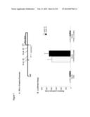 NOVEL REPRESSOR ON IFN-LAMBDA PROMOTER AND SIRNA AGAINST ZEB1 AND BLIMP-1     TO INCREASE IFN-LAMBDA GENE ACTIVITY diagram and image