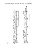 NOVEL REPRESSOR ON IFN-LAMBDA PROMOTER AND SIRNA AGAINST ZEB1 AND BLIMP-1     TO INCREASE IFN-LAMBDA GENE ACTIVITY diagram and image