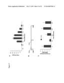 NOVEL REPRESSOR ON IFN-LAMBDA PROMOTER AND SIRNA AGAINST ZEB1 AND BLIMP-1     TO INCREASE IFN-LAMBDA GENE ACTIVITY diagram and image