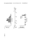 NOVEL REPRESSOR ON IFN-LAMBDA PROMOTER AND SIRNA AGAINST ZEB1 AND BLIMP-1     TO INCREASE IFN-LAMBDA GENE ACTIVITY diagram and image