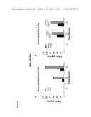 NOVEL REPRESSOR ON IFN-LAMBDA PROMOTER AND SIRNA AGAINST ZEB1 AND BLIMP-1     TO INCREASE IFN-LAMBDA GENE ACTIVITY diagram and image