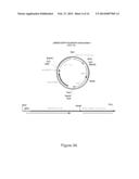 Oncovector Nucleic Acid Molecules and Methods of Use diagram and image