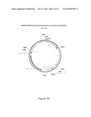 Oncovector Nucleic Acid Molecules and Methods of Use diagram and image