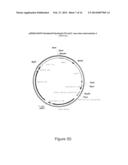 Oncovector Nucleic Acid Molecules and Methods of Use diagram and image