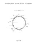 Oncovector Nucleic Acid Molecules and Methods of Use diagram and image