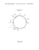 Oncovector Nucleic Acid Molecules and Methods of Use diagram and image