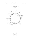 Oncovector Nucleic Acid Molecules and Methods of Use diagram and image