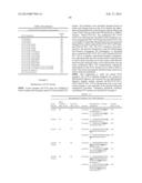 Oncovector Nucleic Acid Molecules and Methods of Use diagram and image