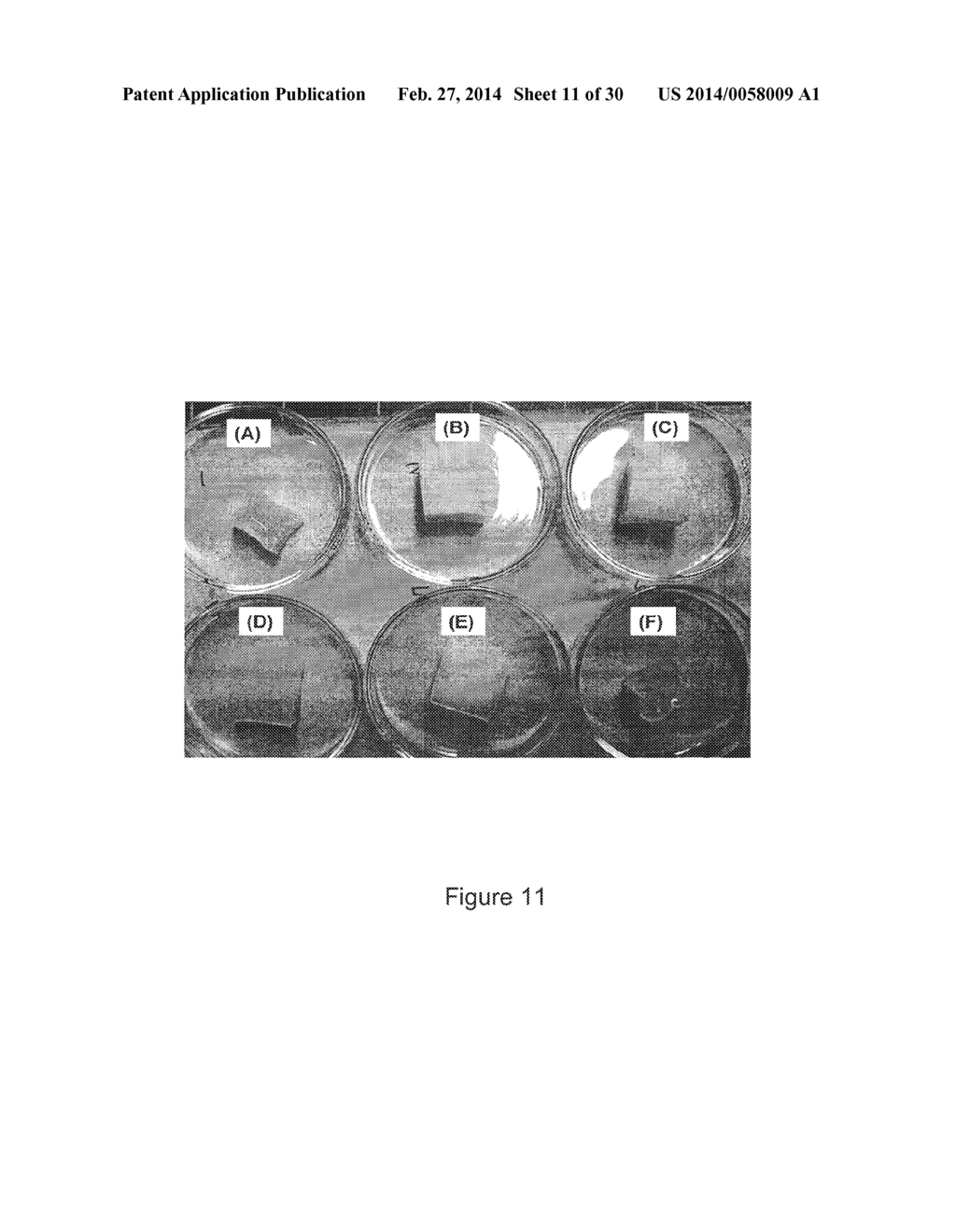 PVA-PAA Hydrogels - diagram, schematic, and image 12